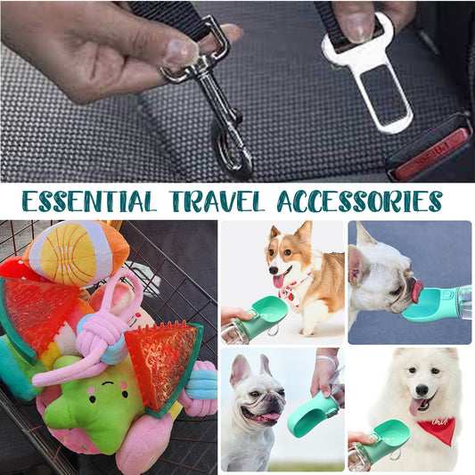 Essential Dog Travel Accessories for Pet Owners!