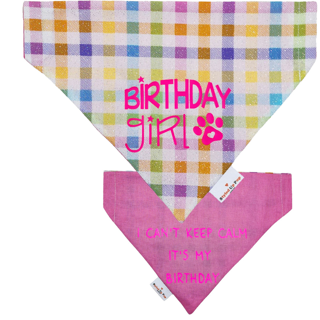 Barkday Dog Birthday Box - handmade from Styled Up Pup - Shop now at Styled Up Pup