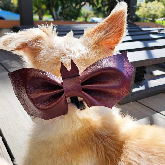 Howl-o-ween Battie Bat Dog Bow Tie - handmade Dog Bandana from Styled Up Pup - Shop now at Styled Up Pup