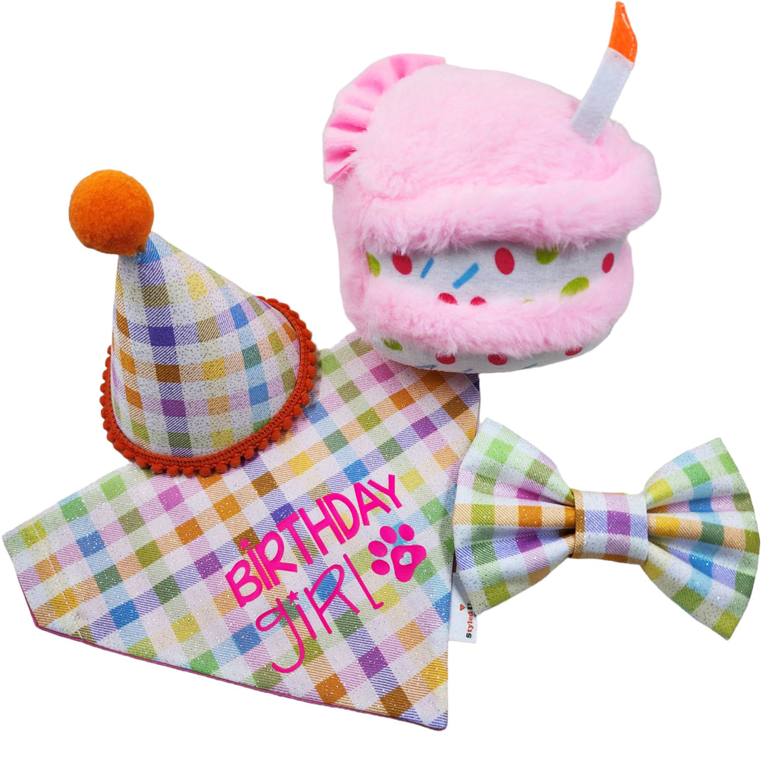 Barkday Dog Birthday Box - handmade from Styled Up Pup - Shop now at Styled Up Pup