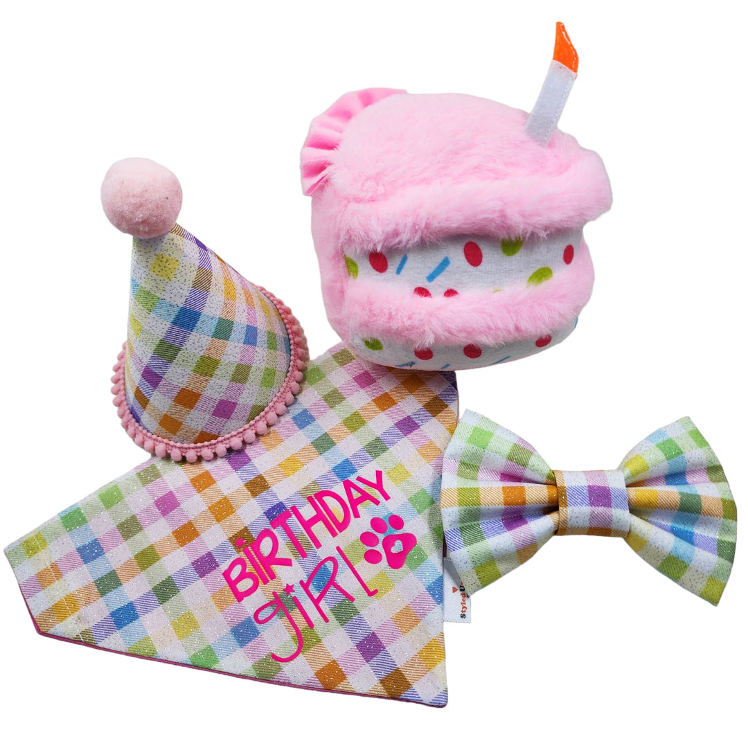 Barkday Dog Birthday Box - handmade from Styled Up Pup - Shop now at Styled Up Pup
