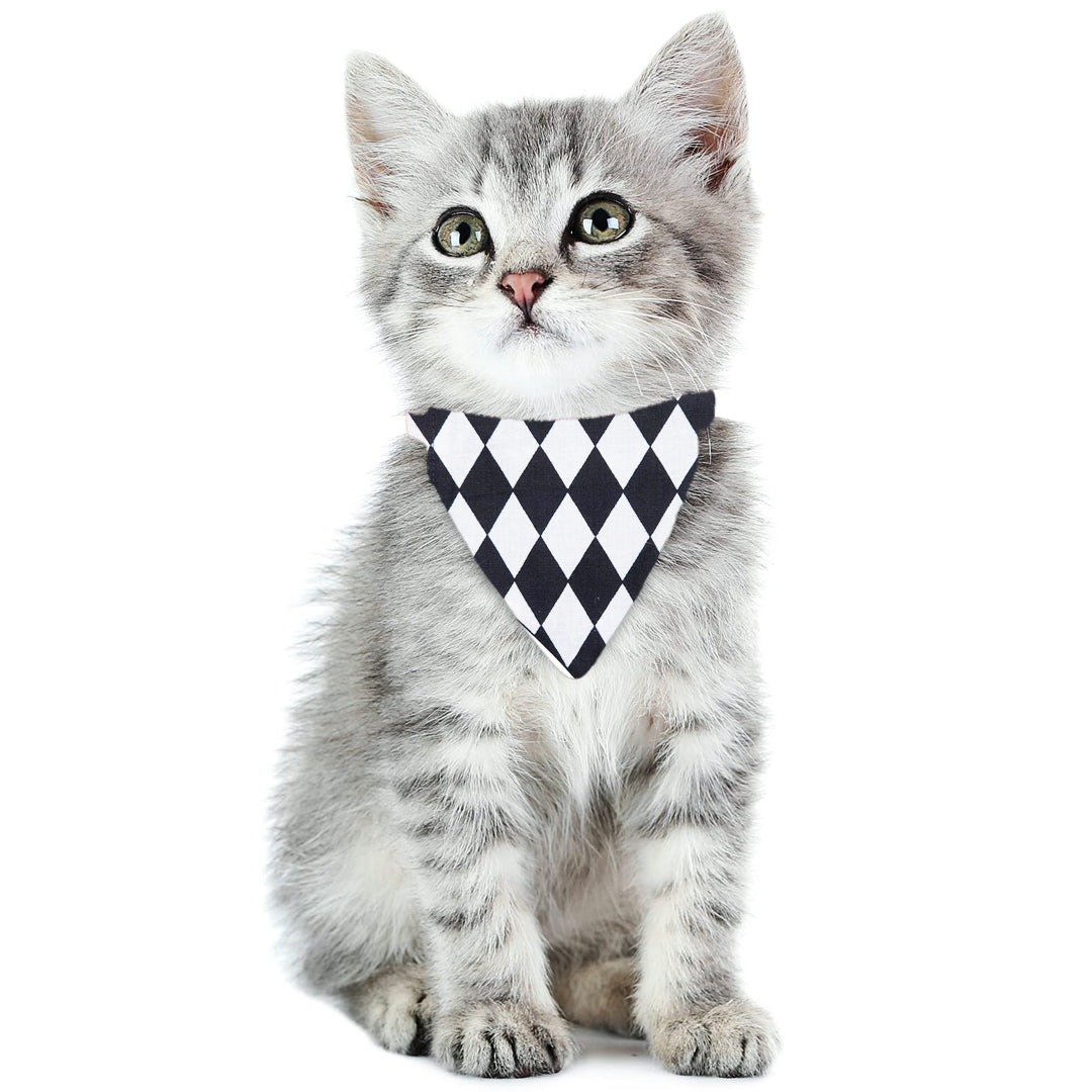 Scull (Gold) / Black and White Checker Over-the-collar Cat Bandana - handmade Cat Bandana from Styled Up Pup - Shop now at Styled Up Pup