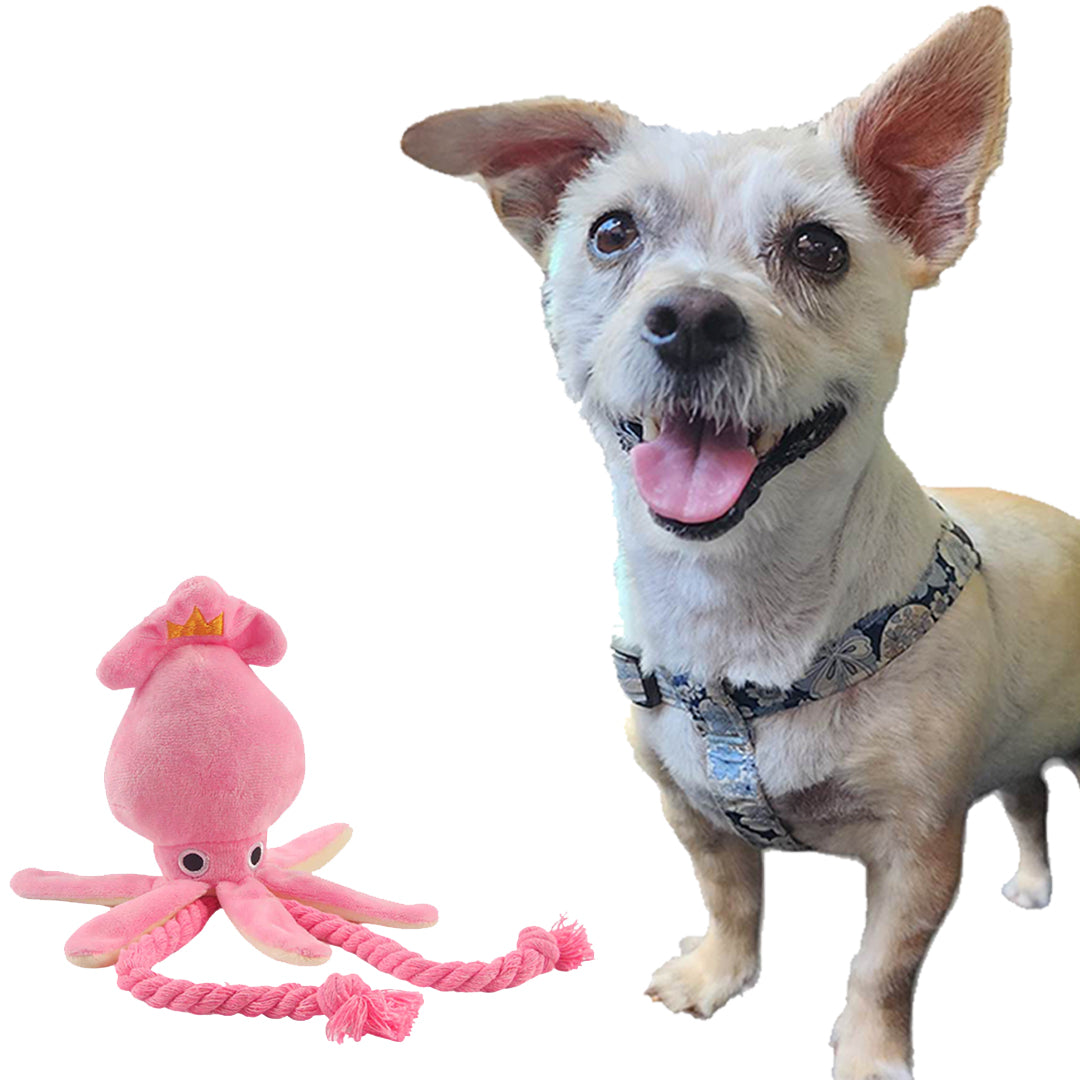 Squeaky Squid Dog Toy - handmade Dog Toys from Styled Up Pup - Shop now at Styled Up Pup