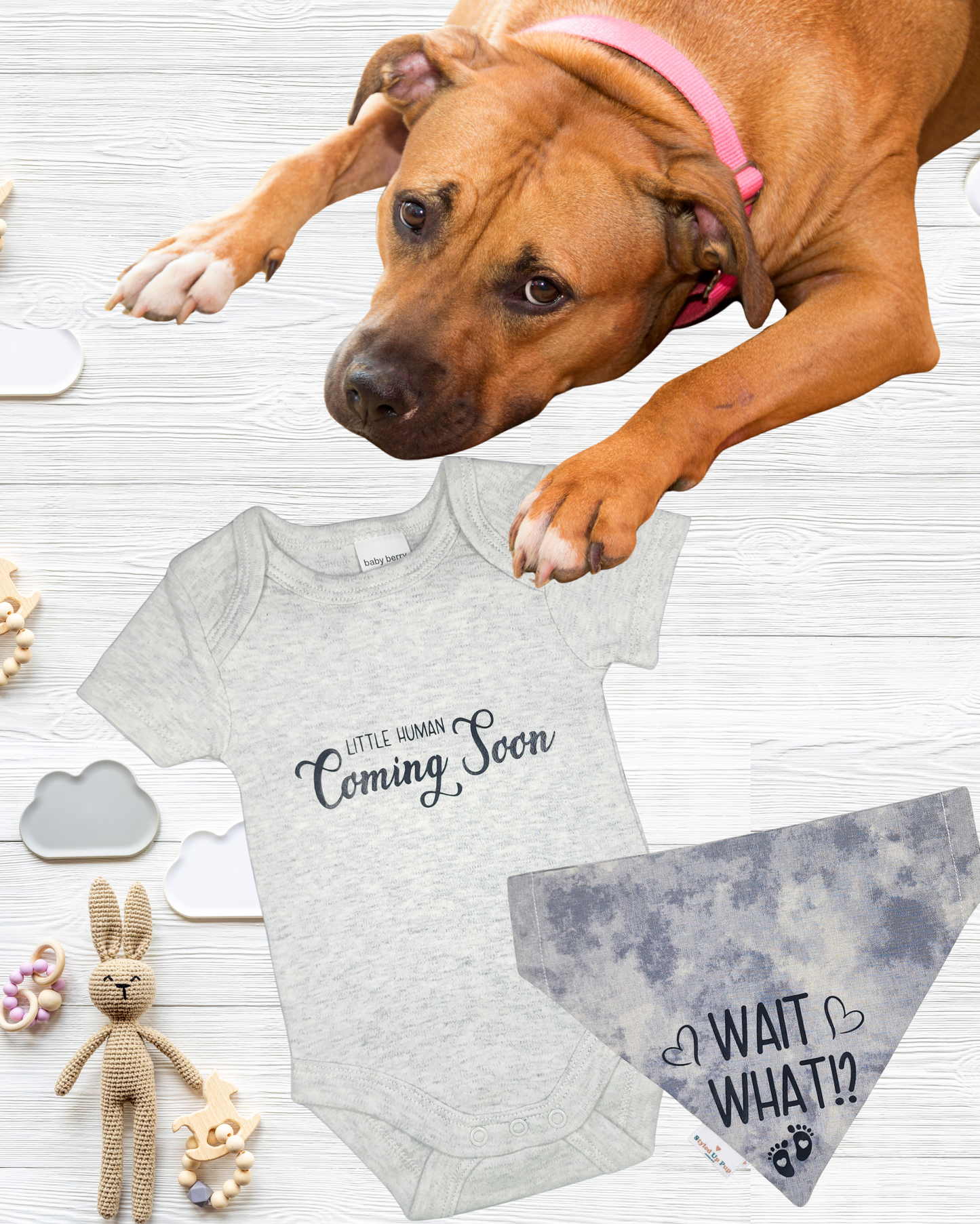 Styled Up Celebrations | Over-the-collar Dog Bandana | Baby Announcement - I'm going to be a big brother! - handmade Dog Bandana from Styled Up Pup - Shop now at Styled Up Pup