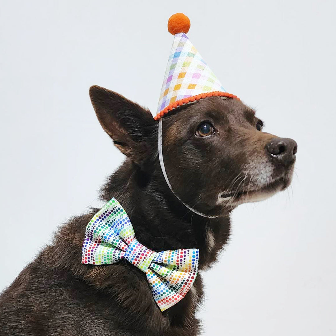Birthday Vibes Dog Bow Tie - handmade Dog Bow Tie from Styled Up Pup - Shop now at Styled Up Pup