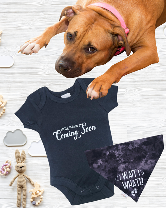 Styled Up Celebrations | Over-the-collar Dog Bandana | Baby Announcement - I'm going to be a big brother! - handmade Dog Bandana from Styled Up Pup  - Shop now at Styled Up Pup