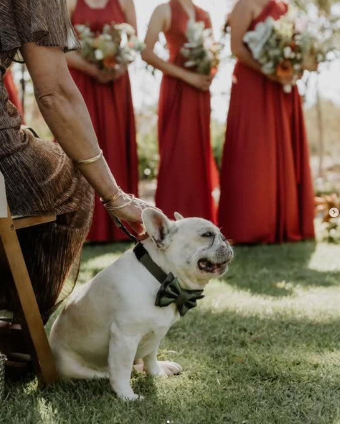 Custom dog wedding bow tie