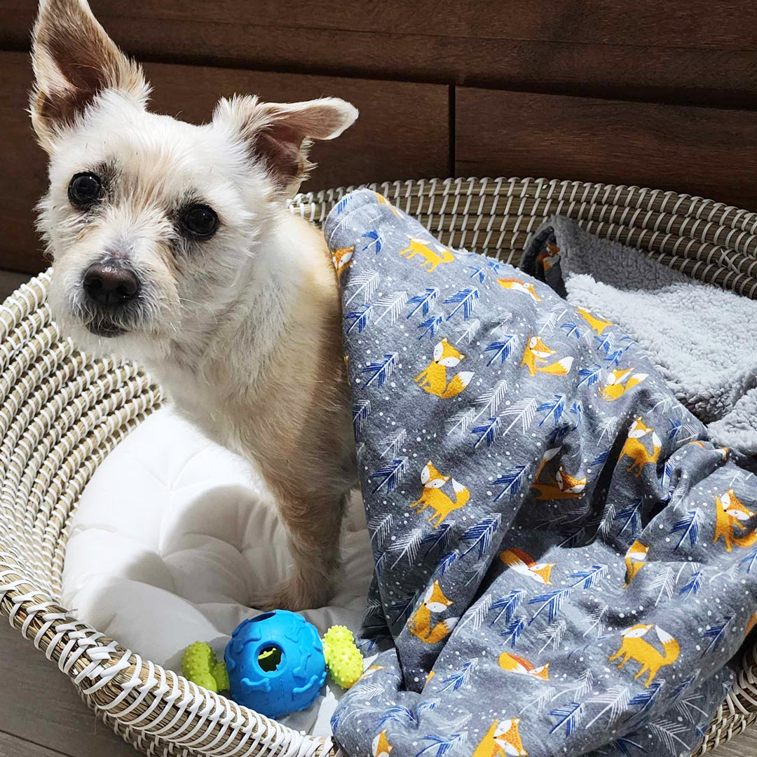 Silver Fox Dog Blanket - handmade Dog Blanket from Styled Up Pup - Shop now at Styled Up Pup