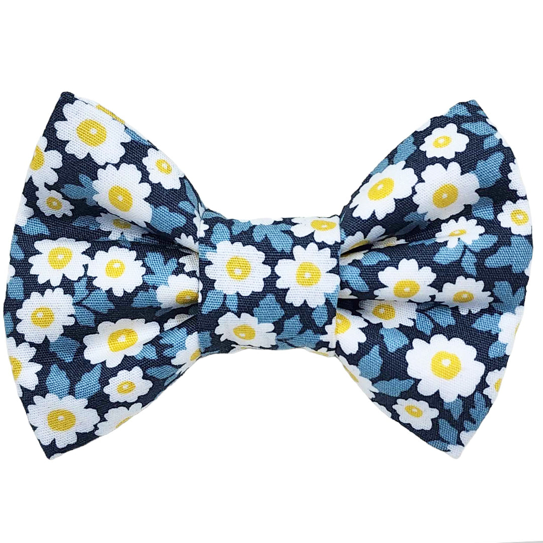 The Gordonia Cat Bow Tie - handmade Cat Bow Tie from Styled Up Pup - Shop now at Styled Up Pup