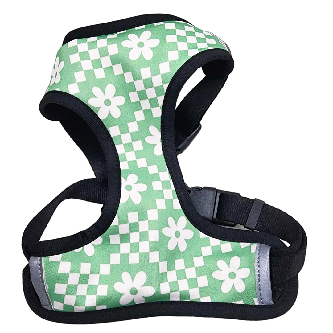 Checkered clearance dog harness