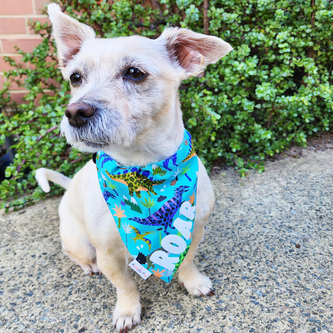 ROAR I'm a Dinosaur Over-The-Collar Dog Bandana - handmade Dog Bandana from Styled Up Pup - Shop now at Styled Up Pup
