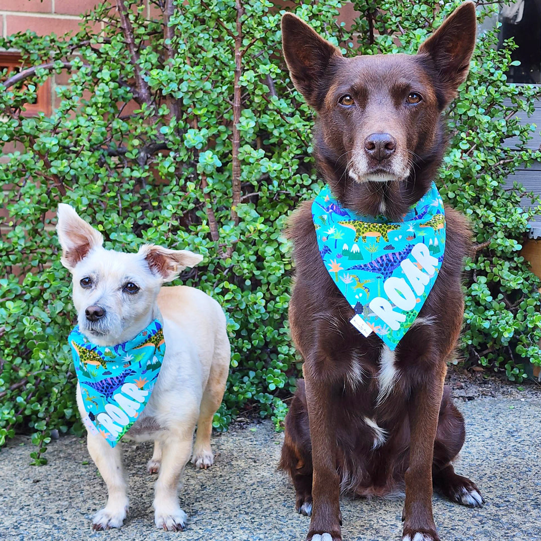 ROAR I'm a Dinosaur Over-The-Collar Dog Bandana - handmade Dog Bandana from Styled Up Pup - Shop now at Styled Up Pup