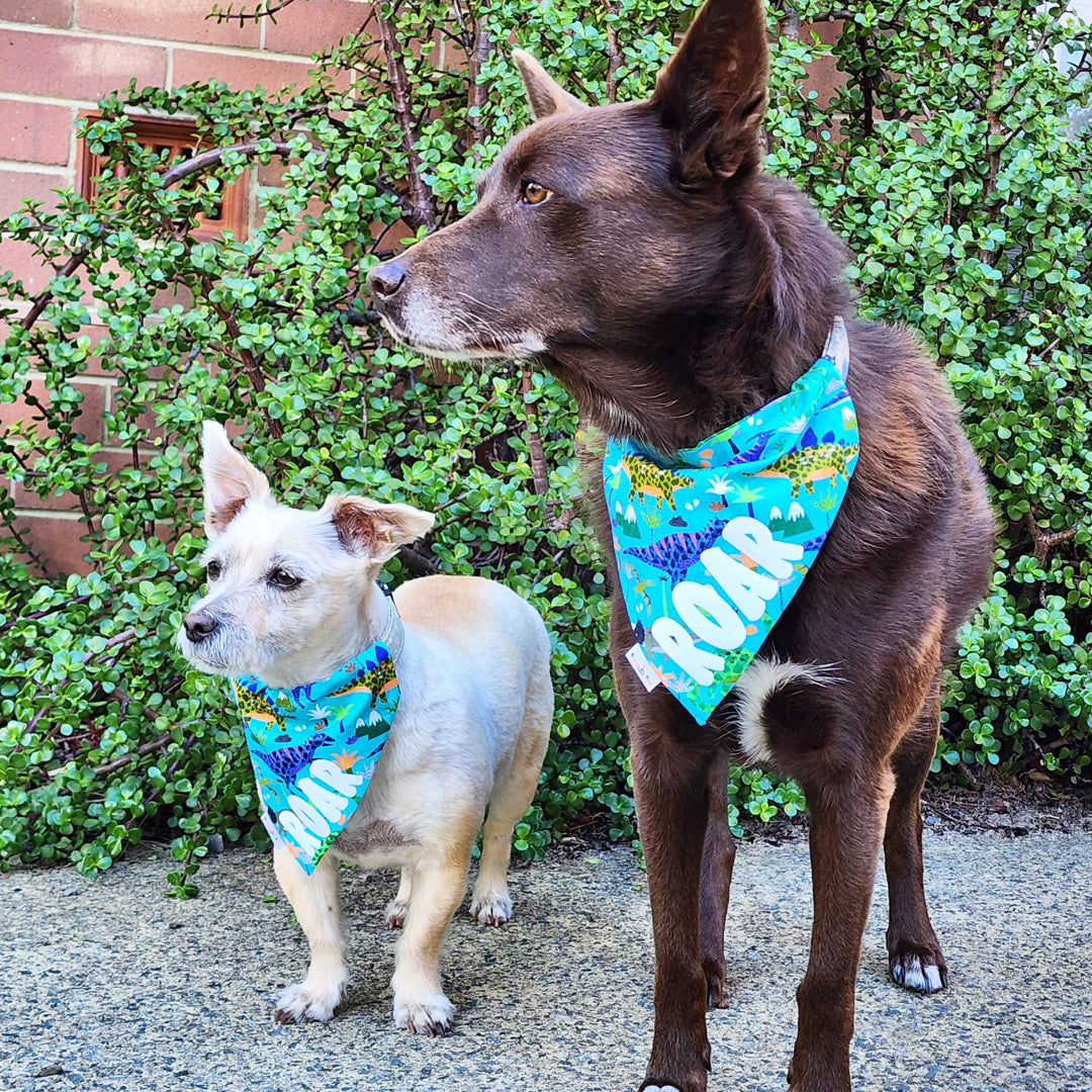 ROAR I'm a Dinosaur Over-The-Collar Dog Bandana - handmade Dog Bandana from Styled Up Pup - Shop now at Styled Up Pup
