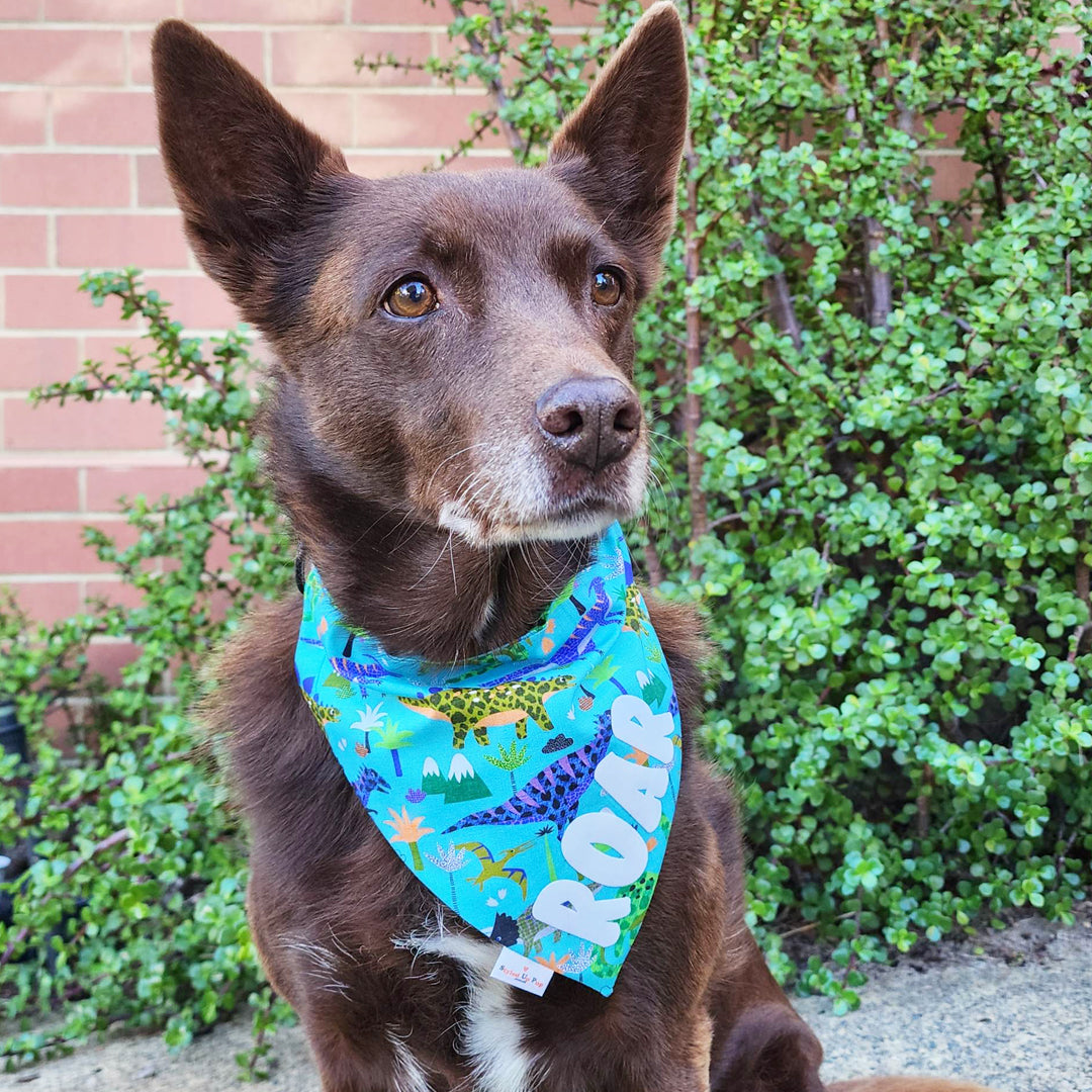 ROAR I'm a Dinosaur Over-The-Collar Dog Bandana - handmade Dog Bandana from Styled Up Pup - Shop now at Styled Up Pup