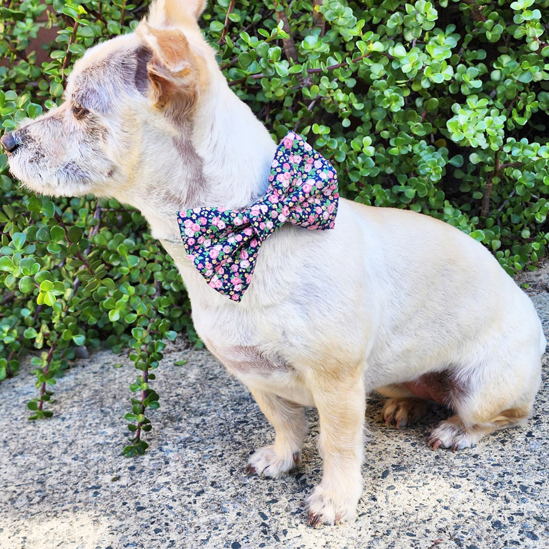 Winter Blossom Dog Bow Tie - handmade Dog Bow Tie from Styled Up Pup - Shop now at Styled Up Pup