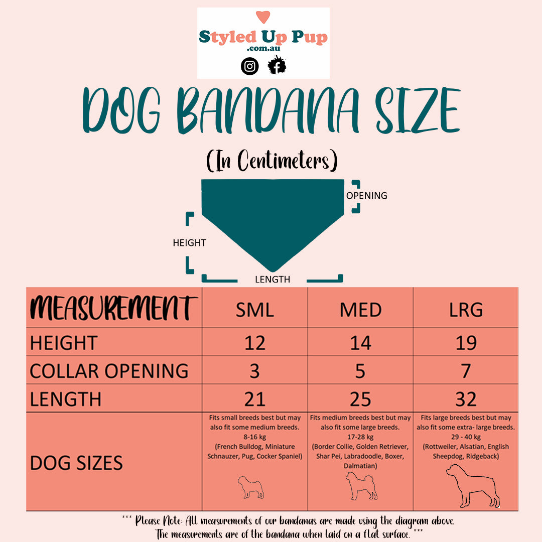 Styled Up Celebrations | Over-the-collar Dog Bandana | Baby Announcement - I'm going to be a big sister! - handmade Dog Bandana from Styled Up Pup - Shop now at Styled Up Pup