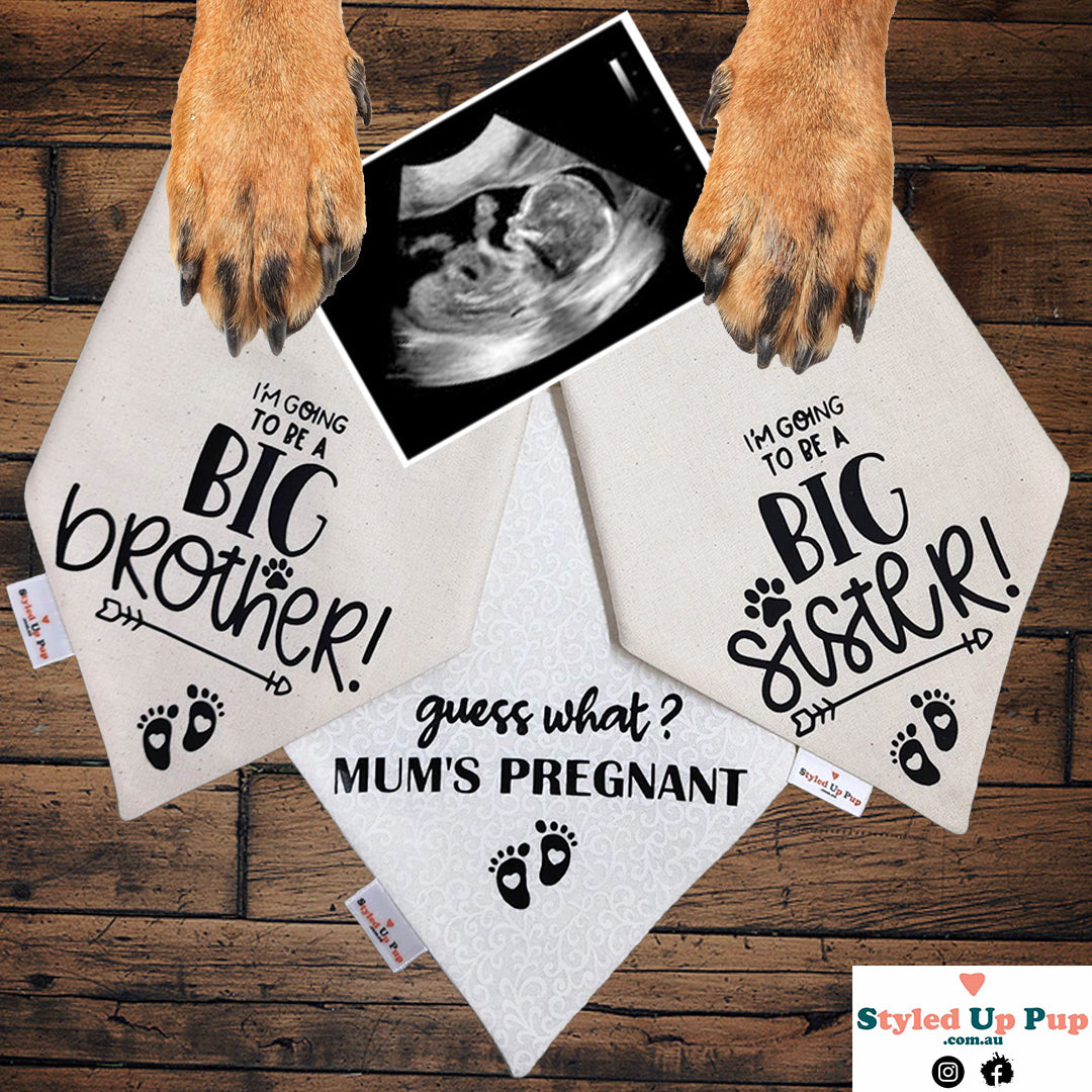 Styled Up Celebrations | Over-the-collar Dog Bandana | Baby Announcement - Guess what? Mum's pregnant! - handmade  from Styled Up Pup - Shop now at Styled Up Pup