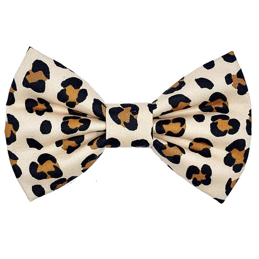 Wild One Dog Bow Tie - handmade Dog Bow Tie from Styled Up Pup - Shop now at Styled Up Pup