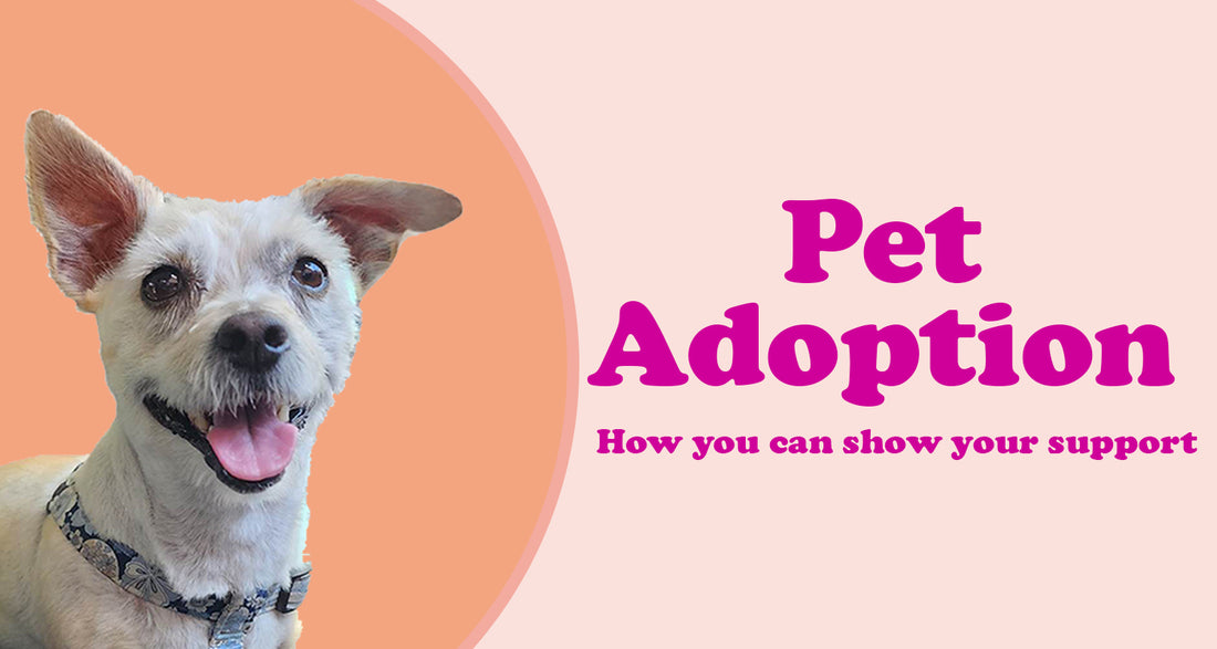 Support Pet Rescue Pet Adoption and how you can show your support – Styled Up Pup