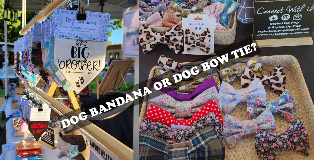 The Big Dog Accessories Debate - Is it the Dog Bow Tie or Dog Bandana?