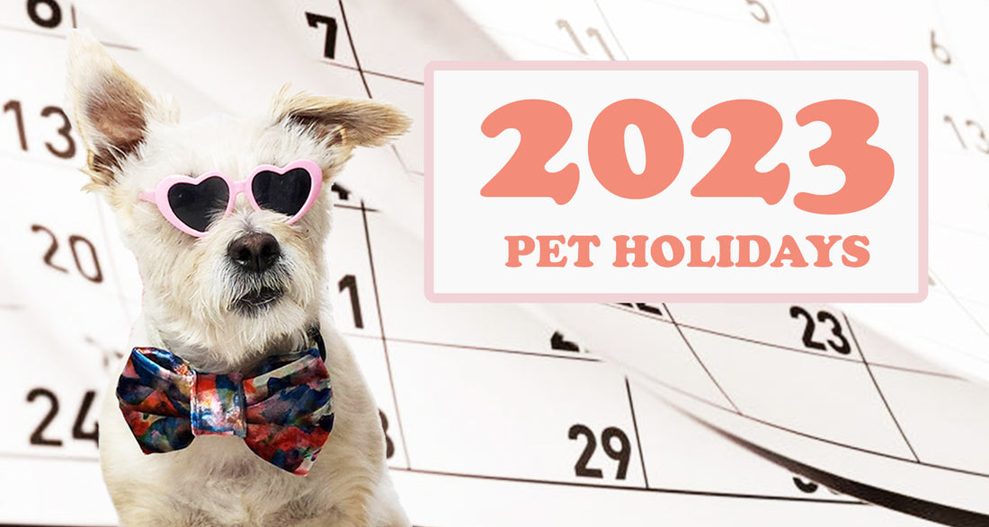 The Complete List of 2023 Pet Holidays
