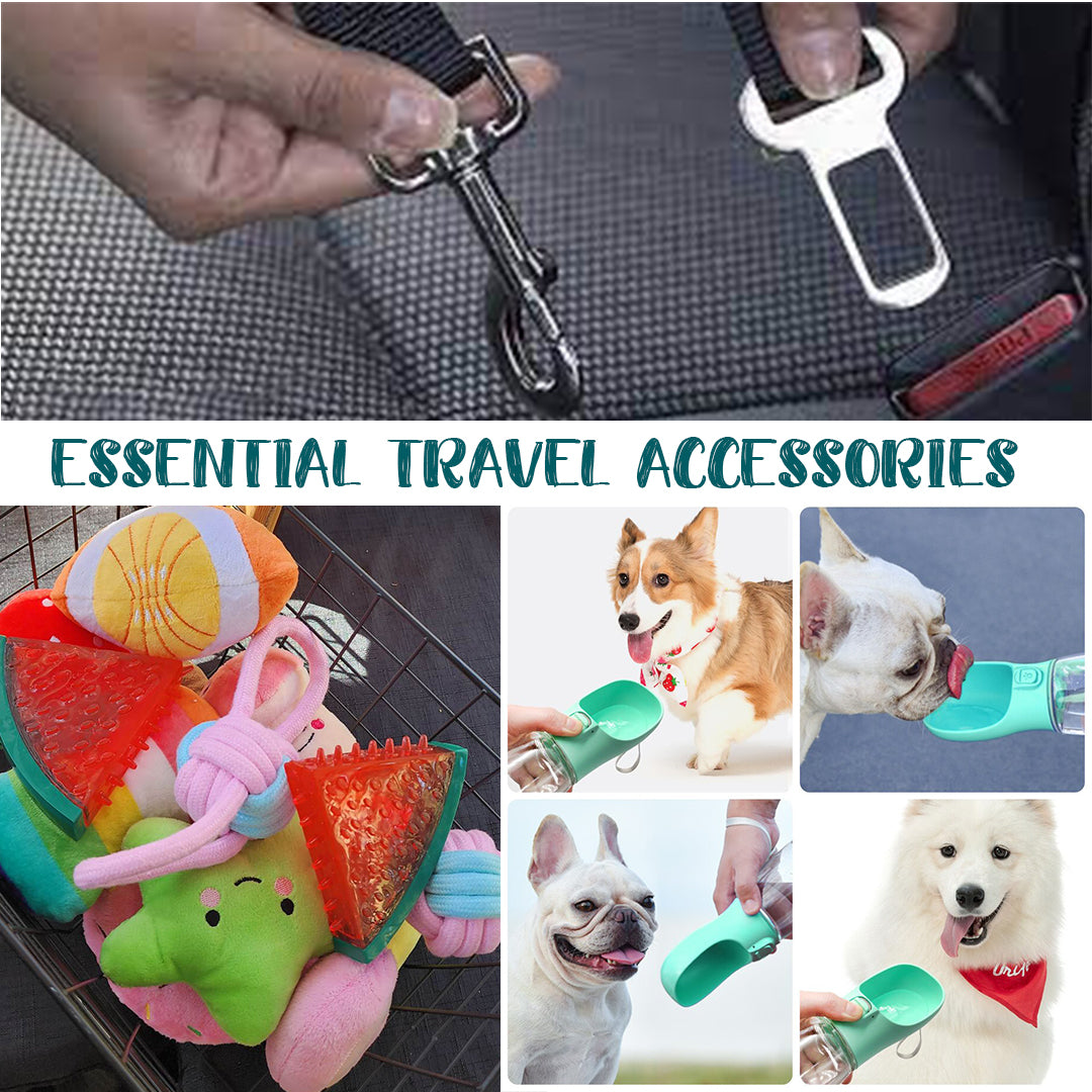Essential Dog Travel Accessories for Pet Owners!