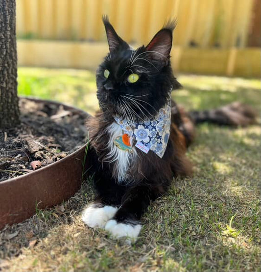 Oriental Gold Over-the-collar Cat Bandana