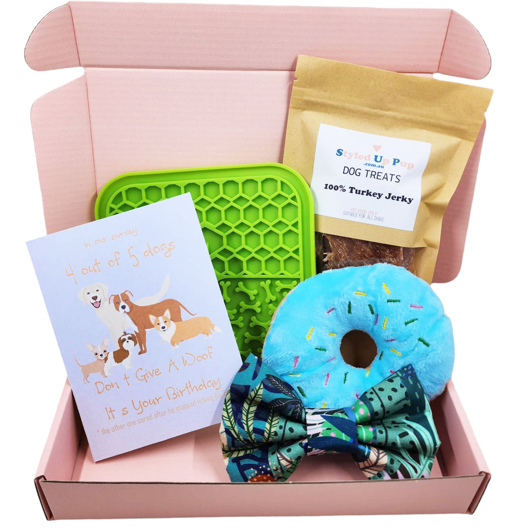 Puppy gift box outlet
