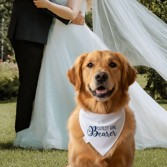 Dog wearing a 'Cutest Ring Bearer' bandana in front of a couple on a wedding day.