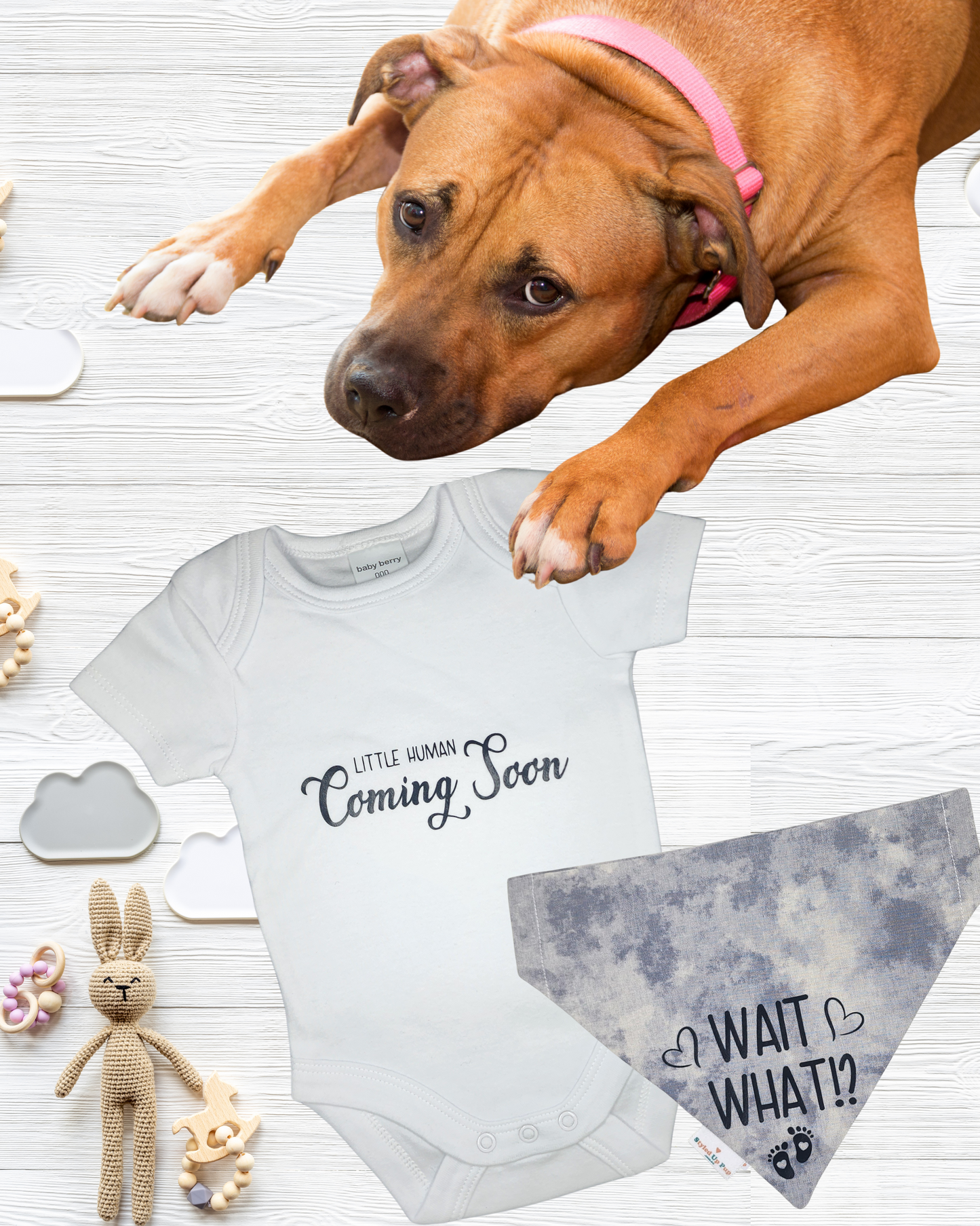 Styled Up Celebrations | Over-the-collar Dog Bandana | Baby Announcement - I'm going to be a big brother! - handmade Dog Bandana from Styled Up Pup  - Shop now at Styled Up Pup 