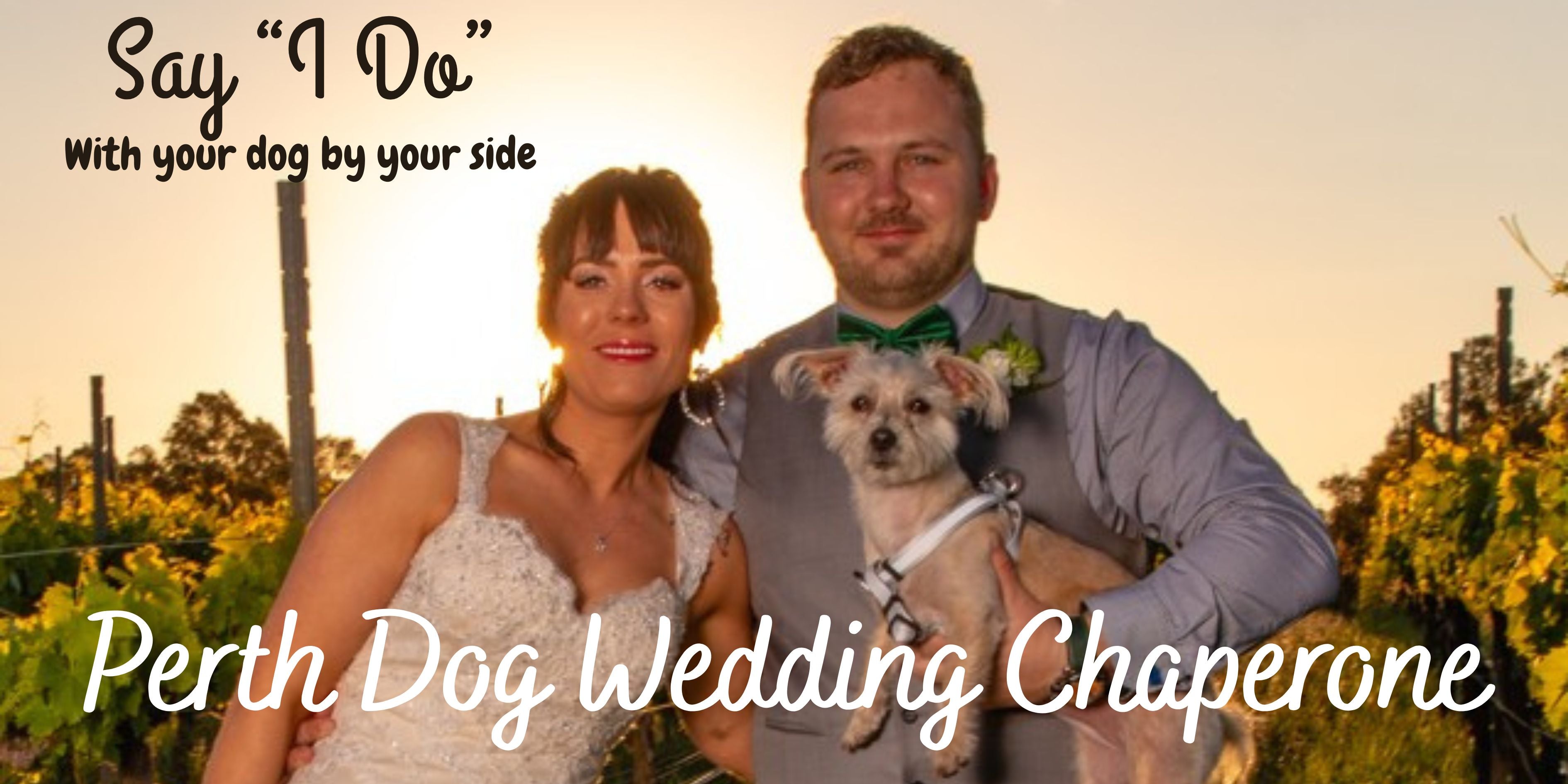 dog chaperone packages, all packages include: