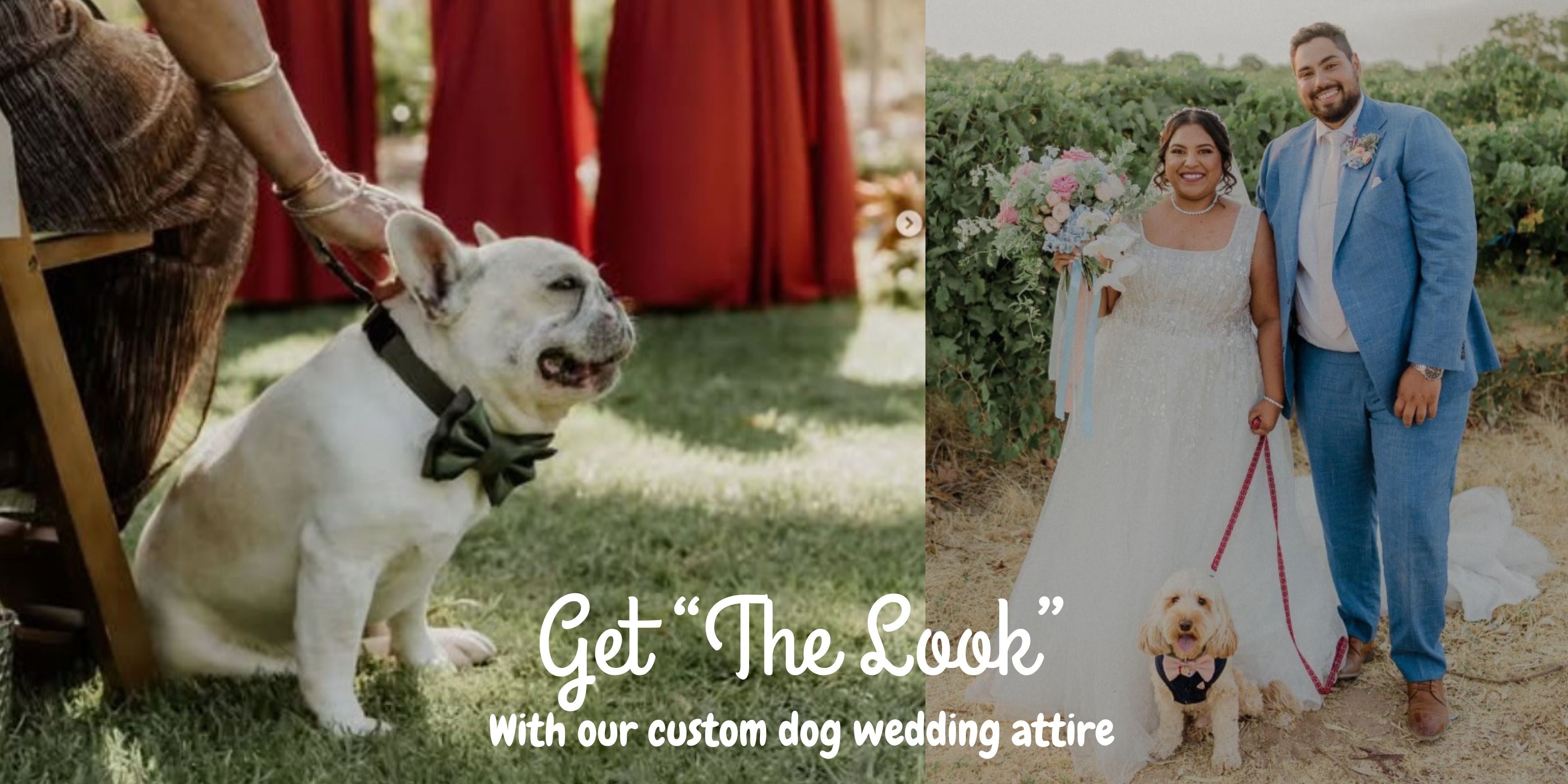 Dog Wedding Accessories, perth dog wedding packages