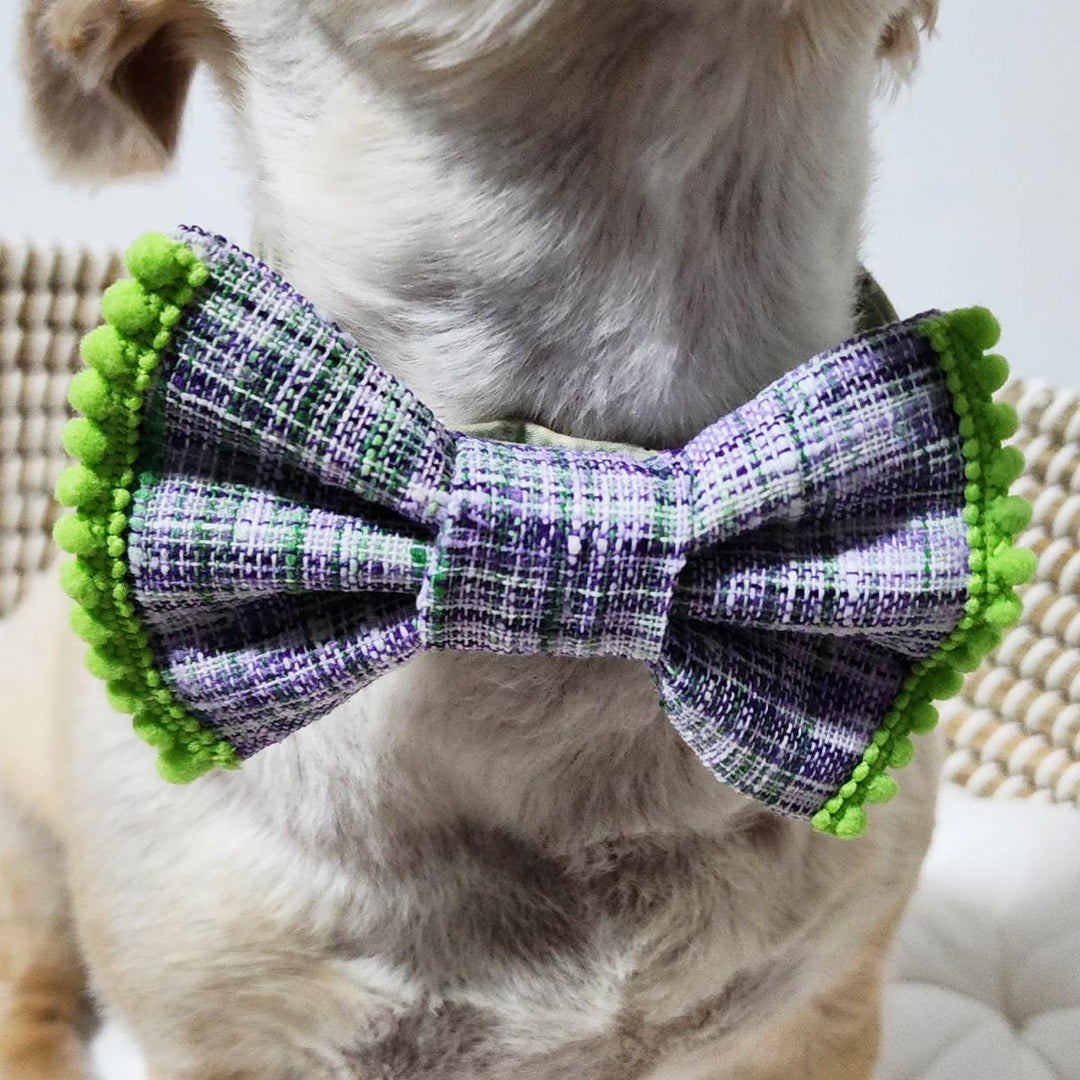 Shrek Dog Bow Tie - handmade Dog Bow Tie from Styled Up Pup - Shop now at Styled Up Pup 