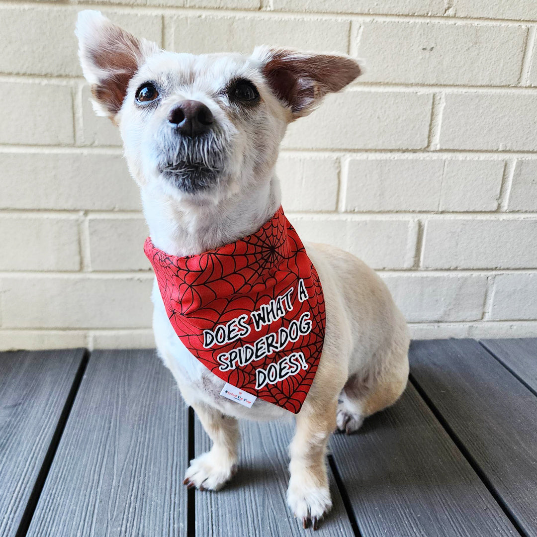 Spiderdog Over-The-Collar Dog Bandana - handmade Dog Bandana from Styled Up Pup - Shop now at Styled Up Pup 