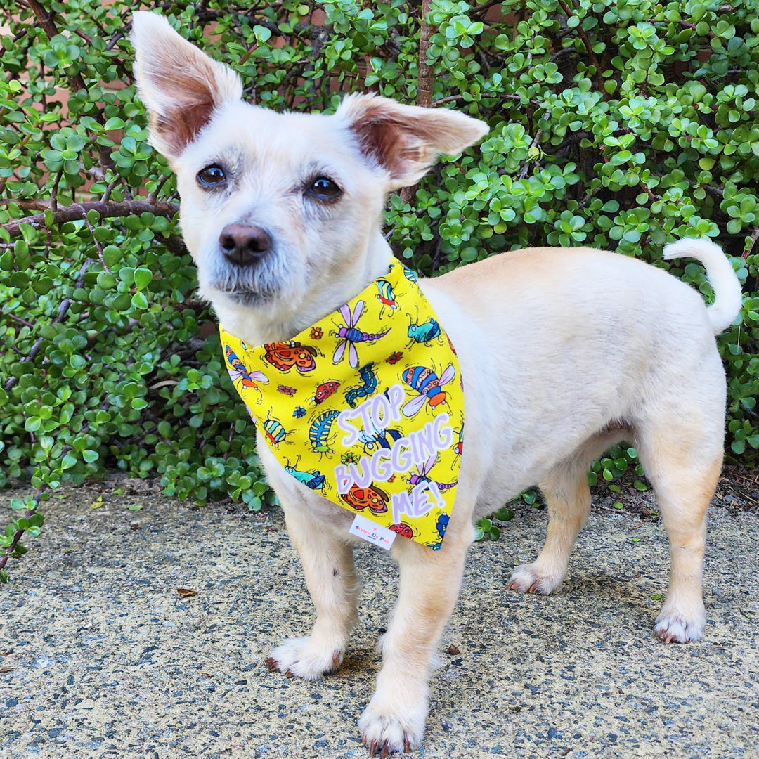 Stop Bugging Me! Over-The-Collar Dog Bandana - handmade Dog Bandana from Styled Up Pup - Shop now at Styled Up Pup 