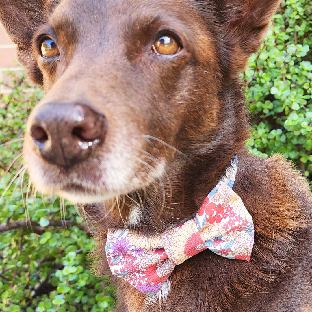 Autumn's Cottage Floral Dog Bow Tie - handmade Dog Bow Tie from Styled Up Pup - Shop now at Styled Up Pup 