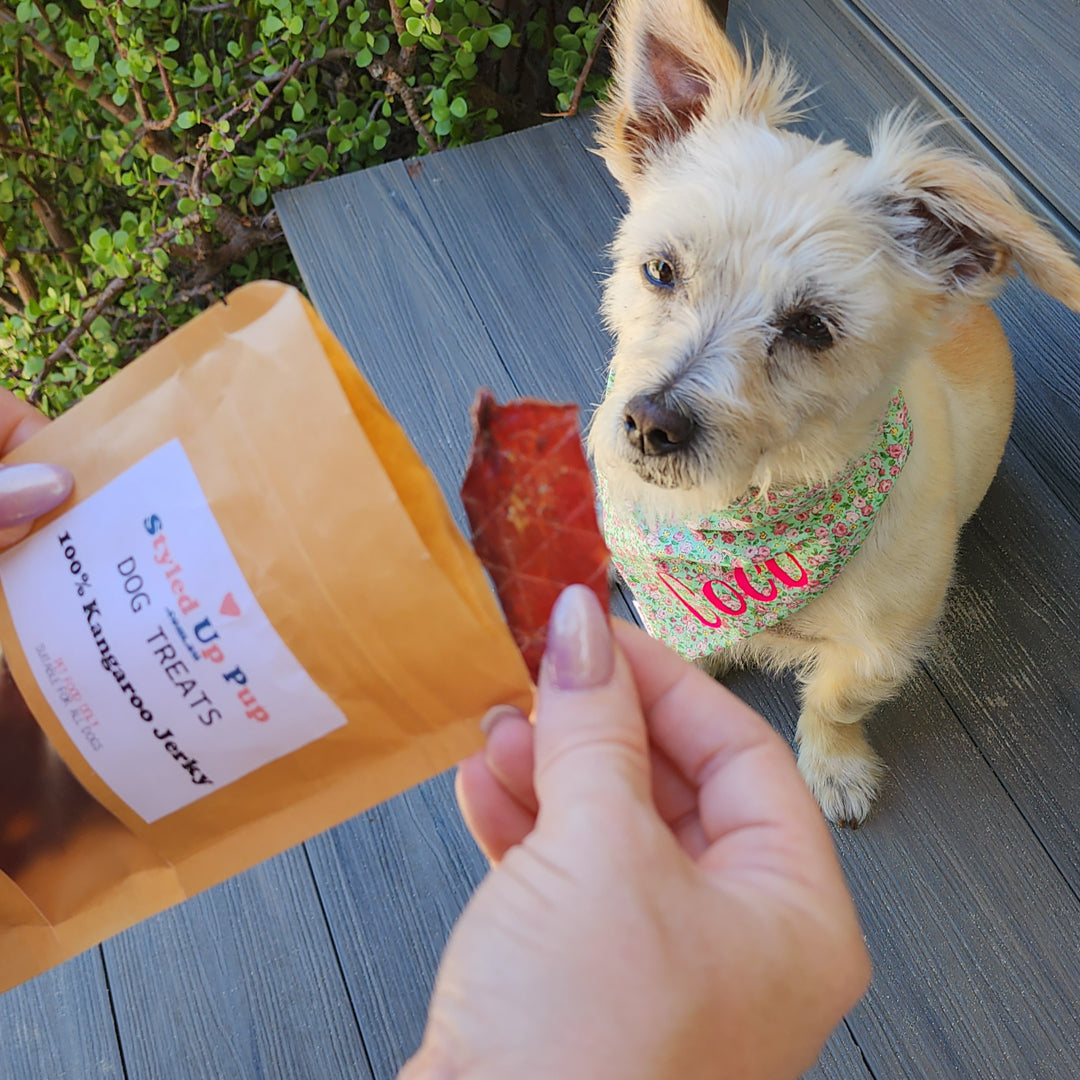 100% Kangaroo Jerky Dog Treats - handmade Dog Treats from Styled Up Pup  - Shop now at Styled Up Pup 